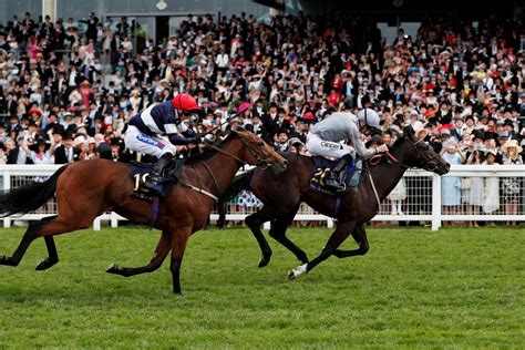 all today's racing results|Fast Horse Racing Results .